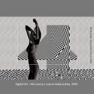 Digital Art Black nude with black-white cell partition 2005